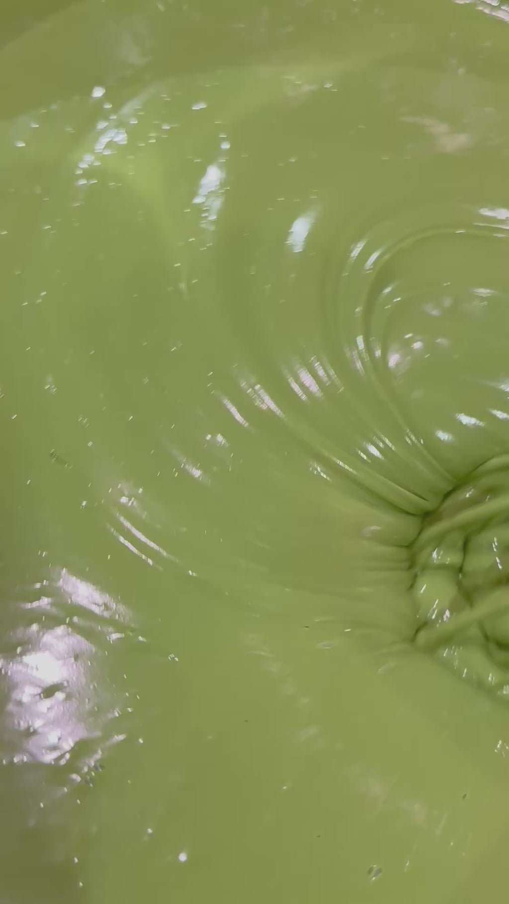 Ceremonial Matcha Dough                     230g